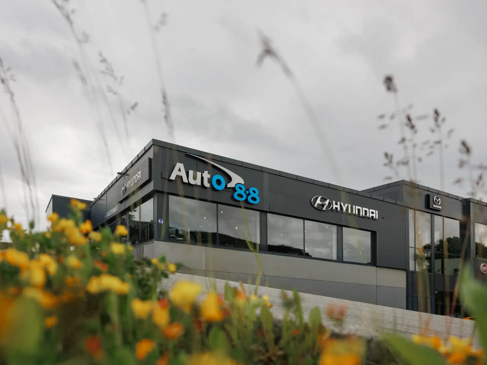 Auto 8-8 Molde
